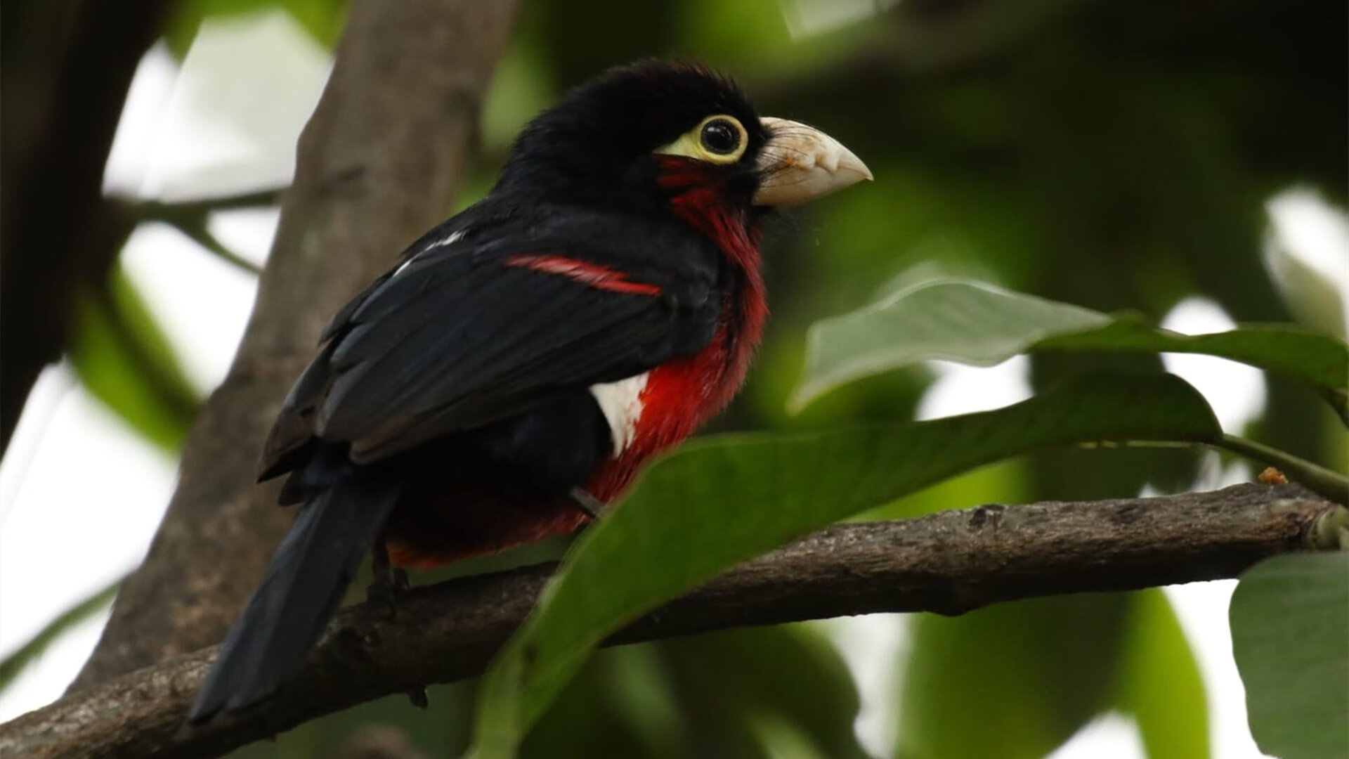 爱游戏登录入口-_三维虚拟体育体验馆：沉浸运动新方式_，三维体育官网